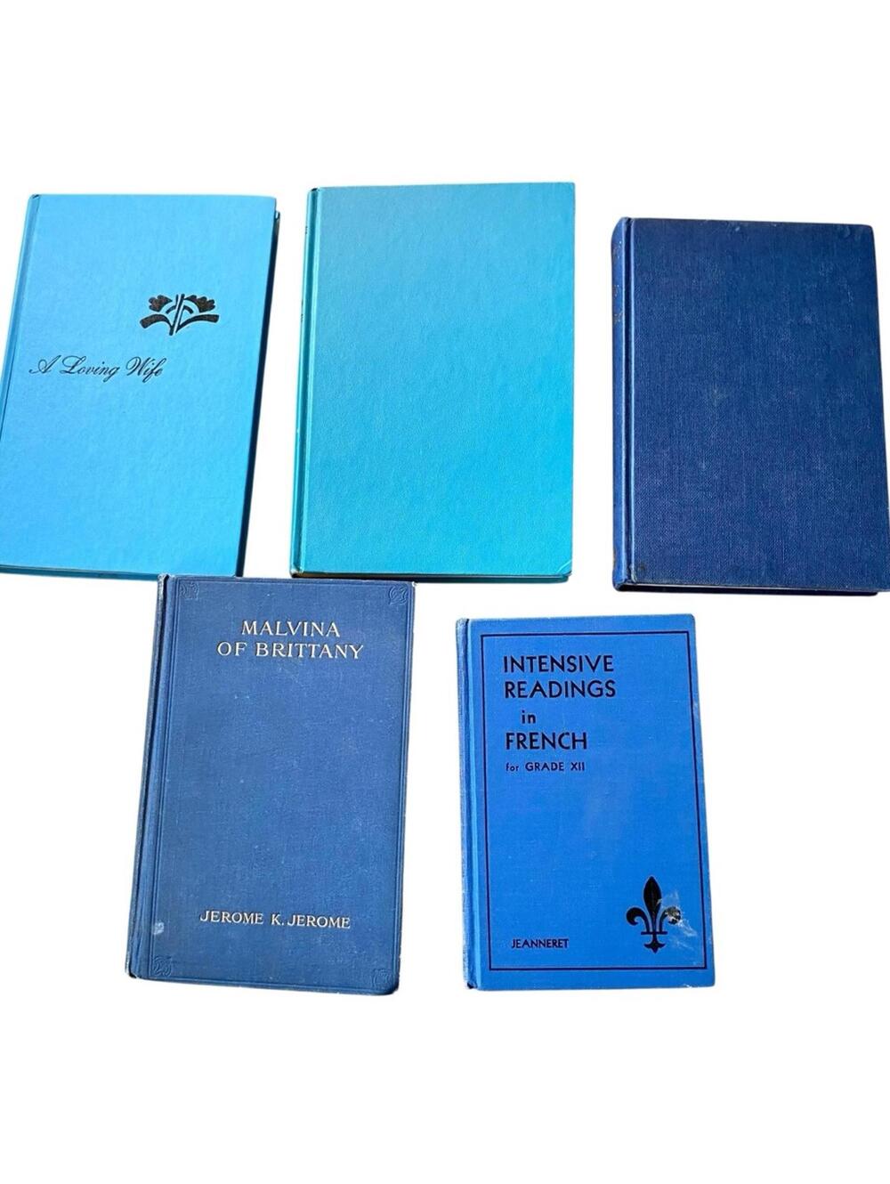 Vintage Blue Hardcover Book Collection for Staging and Decor - Picture 3 of 3